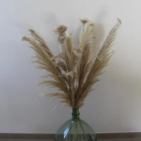 Dimora Oniri Savelletri