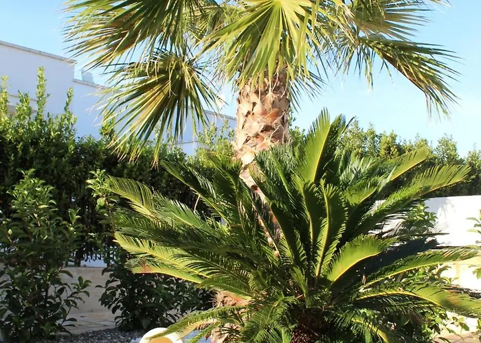 Dimora Oniri Савеллетри